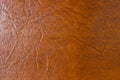 Saddle Tan